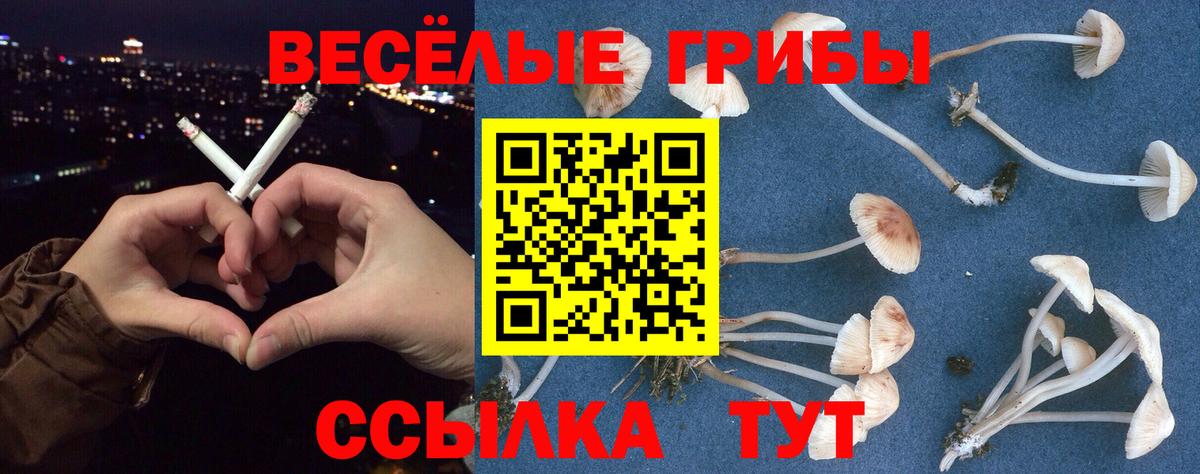 Всеволожск  Псилоцибиновые грибы Cubensis  Галлюциногенные грибы Magic Shrooms  Вход с VPN 
