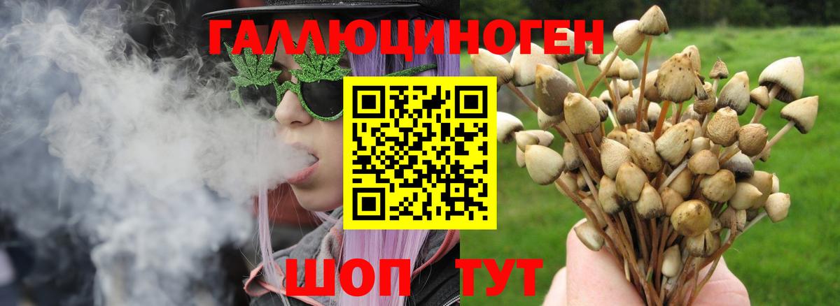 Галлюциногенные грибы MAGIC MUSHROOMS Всеволожск